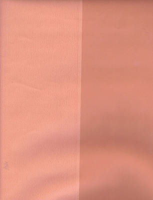 1-118.jpg Light and Dark Peach Salmon 5 1/4" Wide Stripes Wallpaper CJ2849 - Image 1