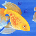 Donna Dewberry Oriental Goldfish Wallpaper Border on Blue   233B61005
