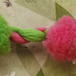 5 Yards 3/4" Strawberry and Lime Pom Pom Fringe Trim 47609SL