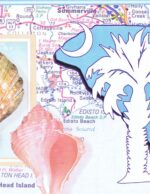 South Caroline Wallpaper Border - SC1002B - RARE