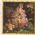 Love Florals in Frames Border - York - IB9954BD