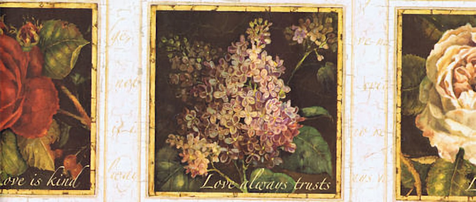 57-1206.jpg Love Florals in Frames Border - York - IB9954BD - Image 1