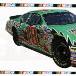 Bobby Labonte - #18 - 2004 Nascar Wallpaper Border - Interstate Batteries- 16130