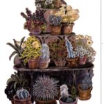 Cactus Stand Wallpaper Mural - 36" Wide x 52" Tall - Westchester - HP70241