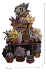 Cactus Stand Wallpaper Mural - 36" Wide x 52" Tall - Westchester - HP70241