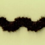 5 Yards 1/2" Fuzzy Brown Chenille Ric Rac Trim 27621