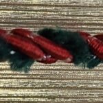 5 Yards 1/8" Cardinal Red and Hunter Green with a Spot of Glitter Twist Cord Tri