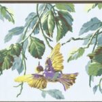 Colorful Birds on Limbs Vines Wallpaper Border - York - MA7801B