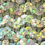 5 Yards 5 Row Elastic Holographic Sequin Trim 43188H