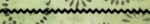 5 Yards 3/8" Black Ric Rac Trim 10836B