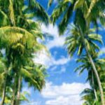 Beach Path Door Wallpaper Mural - Komar - 502