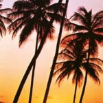 Vintage Sunset Palms by Ocean Photo Door Mural - Komar - 529