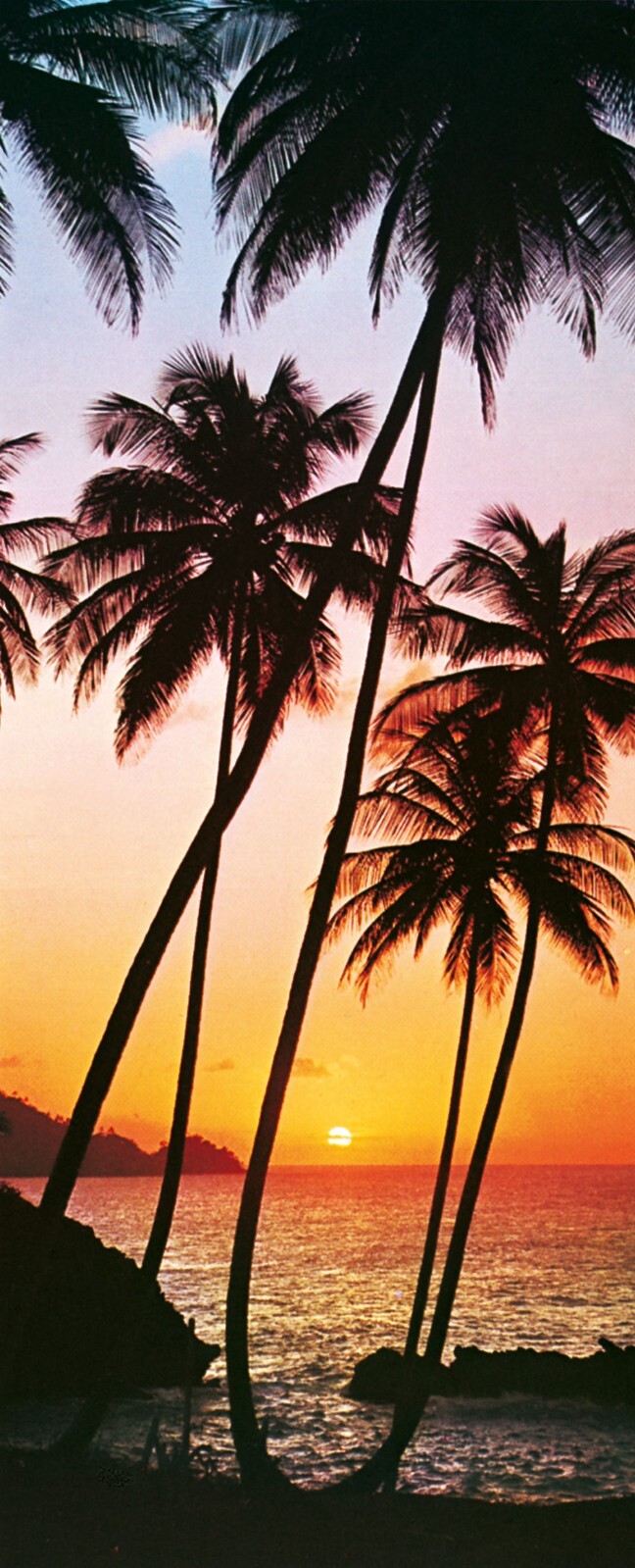 57-27.jpg Vintage Sunset Palms by Ocean Photo Door Mural - Komar - 529 - Image 1