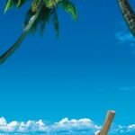 Eternal Quest Wallpaper Photo Door Mural - Boat on Beach - Komar - 503