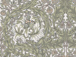 William Morris African Marigold Wallpaper - Greens - Brewster - 4153-82023 - Image 3