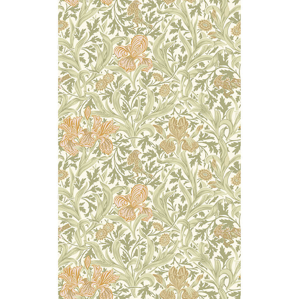 4171-82049 William Morris Iris Wild Gardens Floral Wallpaper - Light Green - Brewster - 4171-82049 - Image 1