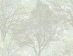 Carl Robinson Langdale Trees Wallpaper - Blues - Wallquest - CR41202