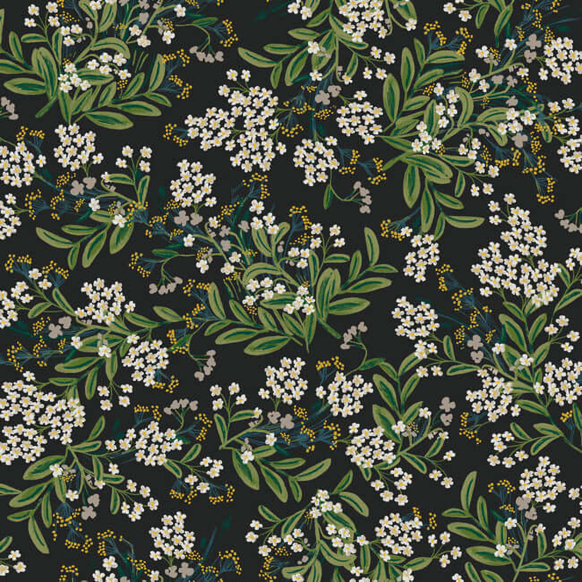 RP7384 Rifle Paper Cornflower Wallpaper - Black, Green - York - RP7384 - Image 1