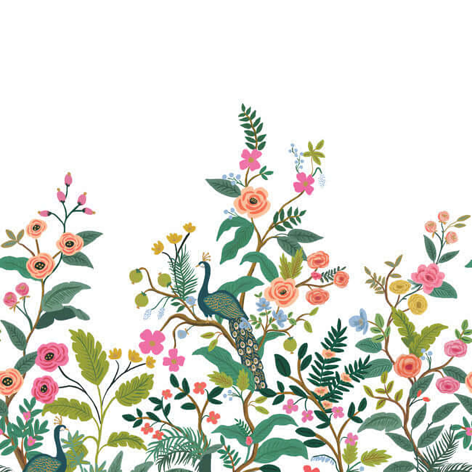 RP7397M Rifle Paper Peacock Floral Wallpaper Mural - White, Multi - York - RP7397M - Image 1