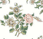 Antonina Vella - Genevieve Floral Trail Wallpaper - Blush - York - VP1425 - Image 3