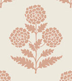 Antonina Vella - Souci Marigolds Floral Wallpaper - Rose - York - VP1434 - Image 3