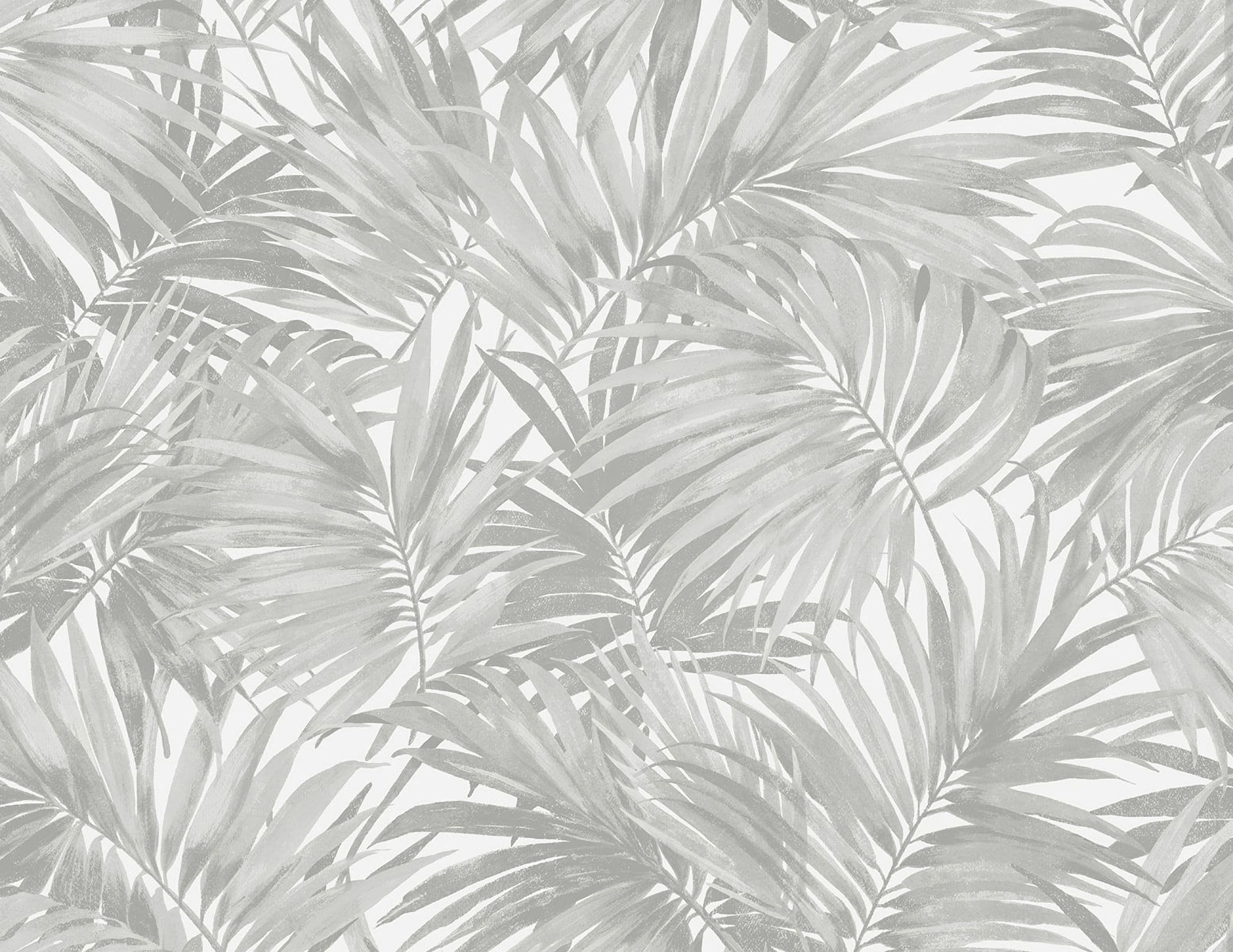 LN40708 Lillian August Coastal Haven - Cordelia Leaves Frond Wallpaper - Type II 20 Oz. Vinyl - Rock Gray - Wallquest - LN40708 - Image 1